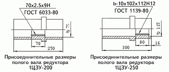 Присоединительные размеры полого тихоходного вала 1Ц3У-250